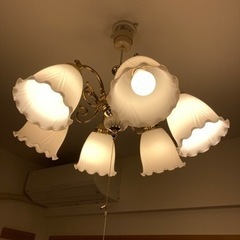 照明器具、シャンデリア風と和洋