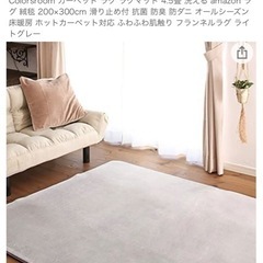 購入者決定　137 Colorsroom カーペット ラグ ラグ...