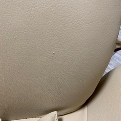 ピープル テディハグの画像