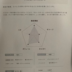 メデュラ セットの画像