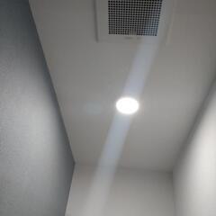 8/27〜9/5✨即日払い✨女性歓迎✨性別不問✨未経験歓迎✨※評...