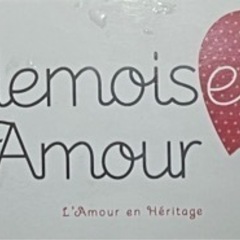 【新品同様】フランス製ウェディングドレス　Mademoiselle Amur Melle Maya 36＋ベール＋ロング手袋一式の画像