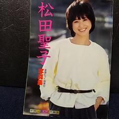 女優　アイドル写真集　昭和　平成　詳細はお問い合わせくださいませ！<(_ _)>手渡しも可能です！の画像