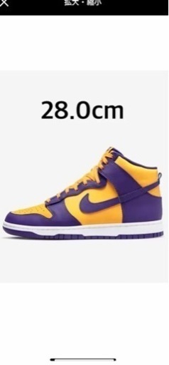 NIKEダンクハイレトロ28cm