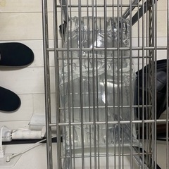 銀ラックの画像