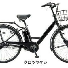ステップクルーズe 新車 2022年モデル ツヤケシクロ