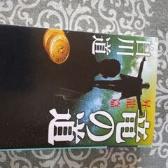決定「竜の道」昇龍篇