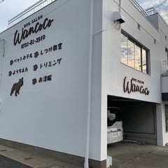 未経験大歓迎！トリマーさん募集の画像
