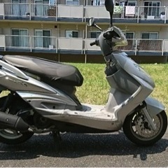 シグナスx 国内　2型の画像