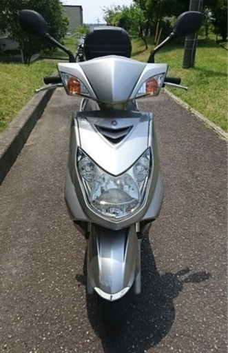 シグナスx 国内　2型