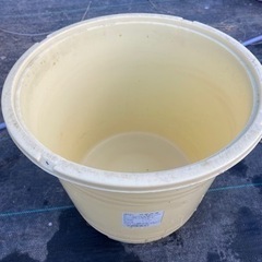 漬物樽（約30リットル）値引きしました！めだか繁殖用に使用してい...
