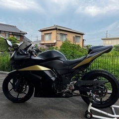 最終値下げ カワサキ NINJA250R EX250K 車体 実...