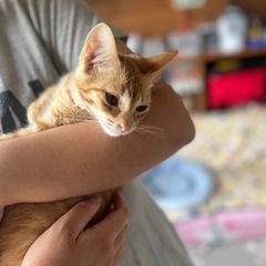 決まりました！