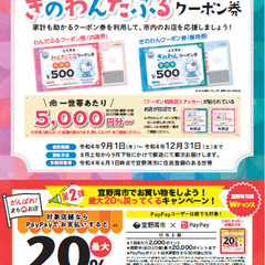 ぎのわん元気再生！ぎのわんだふるクーポン＆キャッシュレス推進事業...