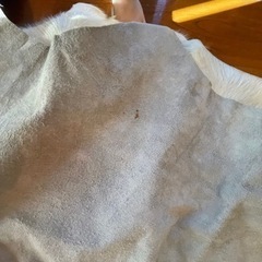 カウラグの画像