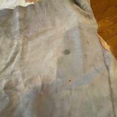 カウラグの画像