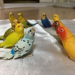 チョコエッグ インコ9羽　フィギュア　鳥　まとめて