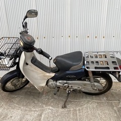 カブ　C50