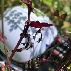 冷媒配管工