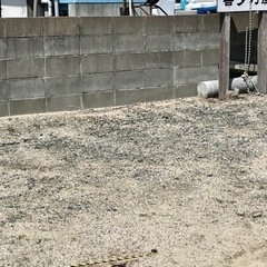 壁面にアート募集です。