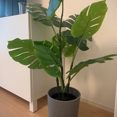 フェイクグリーン　イケア　IKEA モンステラ　ナチュラル　イン...