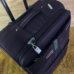 ● 旅行かばん、キャリーケース、LEAVES KINGの画像