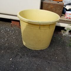 つけもの石