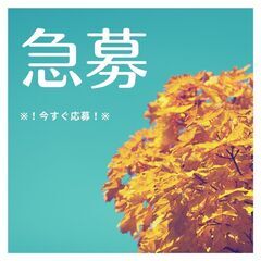 ＜新着☆シンプルドライバーワーク＞時給1470円！日勤帯のみで安心！土日祝休みでしっかりリフレッシュ♪日払い制度もせひご利用ください！【my】A27W0288-2(1)の画像