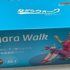 ながらwalk ガイド　DVD付きの画像