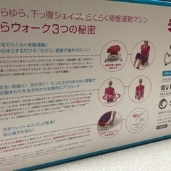 ながらwalk ガイド　DVD付きの画像