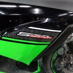 ☆全車安心の保証付き☆KAWASAKI　Ninja250SE　フルノーマル　東京杉並店在庫　値下げしました！！の画像