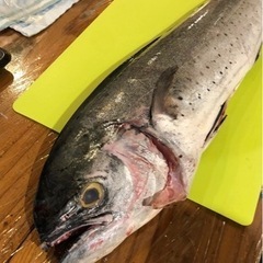 魚さばきかたと魚の焼き方の画像