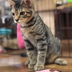 決定♡愛嬌たっぷり、お目目クリクリ^_^