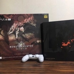 PS4 PRO リオレウスエディション　1TB 本体一式