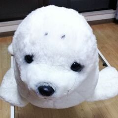 ゴマフアザラシ　誰か飼って下さいm(_ _)m