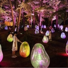 9/3(土)長居✴︎ボタニカルガーデン！一緒に行ってくれる方募集！