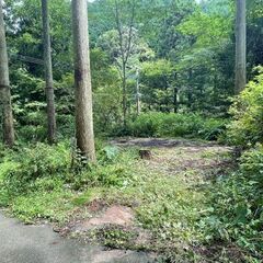 ◆.✧*｡🌳近隣に川や森林あり🌳🌳◆.✧*｡自然豊か🌳🌳◆.✧*｡森の土地をお譲りします🌳🌳+*:.｡.*:+☆ - 福岡市
