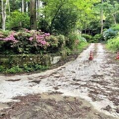 ◆.✧*｡🌳近隣に川や森林あり🌳🌳◆.✧*｡自然豊か🌳🌳◆.✧*｡森の土地をお譲りします🌳🌳+*:.｡.*:+☆ - 土地販売/土地売買