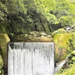 ◆.✧*｡🌳近隣に川や森林あり🌳🌳◆.✧*｡自然豊か🌳🌳◆.✧*｡森の土地をお譲りします🌳🌳+*:.｡.*:+☆ − 福岡県