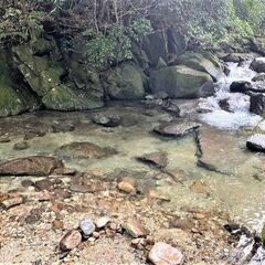 ◆.✧*｡🌳近隣に川や森林あり🌳🌳◆.✧*｡自然豊か🌳🌳◆.✧*｡森の土地をお譲りします🌳🌳+*:.｡.*:+☆ - 不動産
