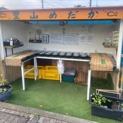 里山めだかの無人販売所　ミジンコとエビ　8月27日の出品情報