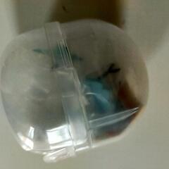 ムーミンガチャガチャの画像