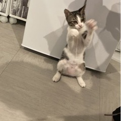 美人ちゃんです❤️