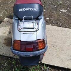 ☆ホンダ ☆LEAD SS(50) ☆初期型 ☆1984年 ☆2st 原付の画像