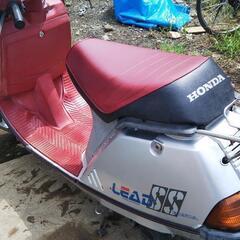 ☆ホンダ ☆LEAD SS(50) ☆初期型 ☆1984年 ☆2st 原付の画像