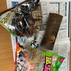 カブトムシ飼育グッズ