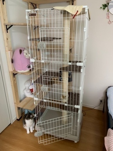 キャットケージ（アイリスオーヤマ）