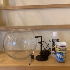 熱帯魚セット　おまけつき