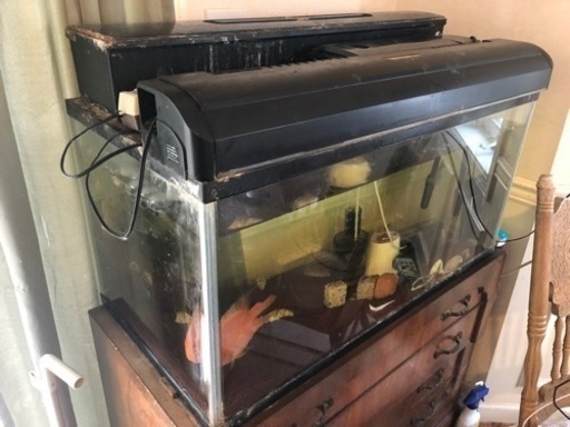 水槽90㎝（卒業品）