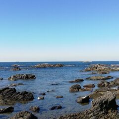 内房のキレイな海で素潜りしませんか？